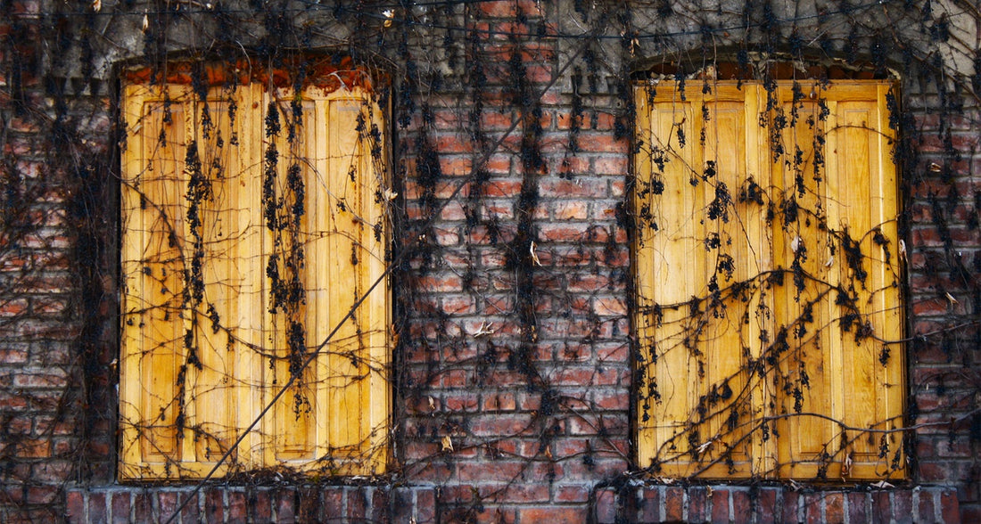 Do You Read Your Genre?