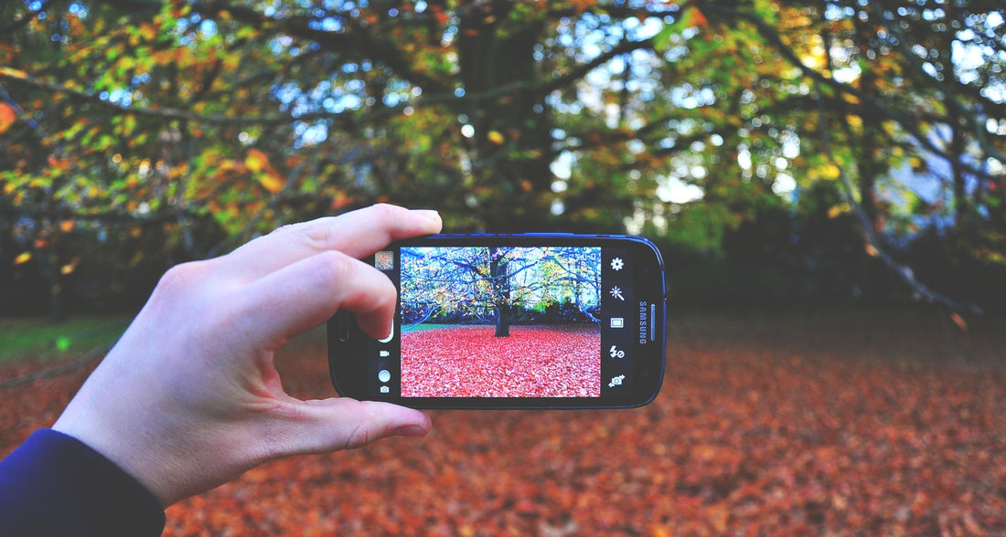 Capturing Your Story